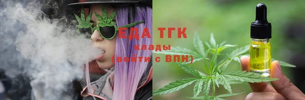 гидра Бородино