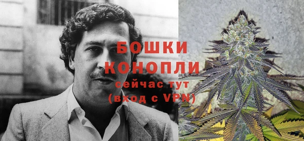 гидра Бородино