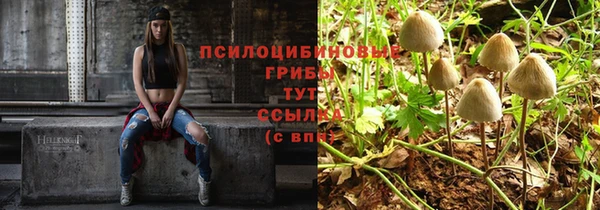 гидра Бородино
