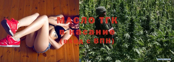 гидра Бородино