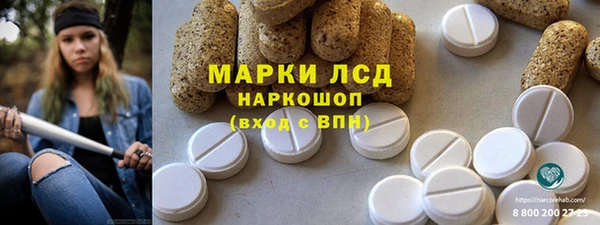 гидра Бородино