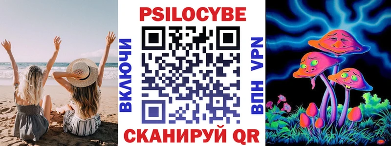 закладка  Ачхой-Мартан  Псилоцибиновые грибы прущие грибы 